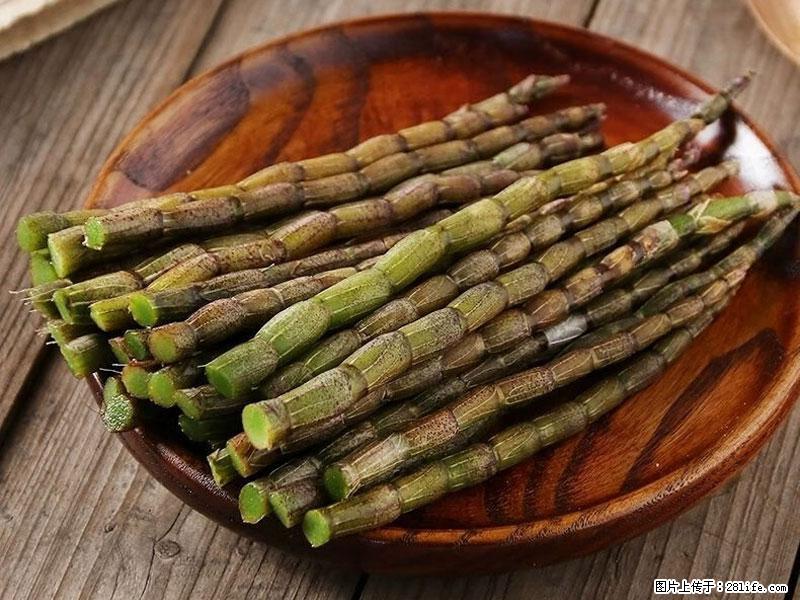 铁皮石斛的作用与功能主治 - 桂林生活资讯 - 桂林28生活网 www.28life.net